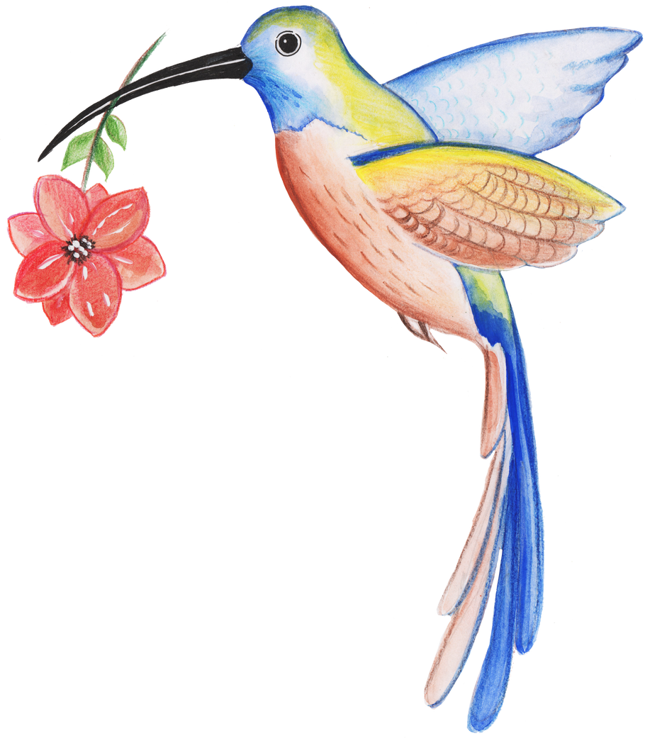 Hand Drawing of Hummingbirds with Flowers